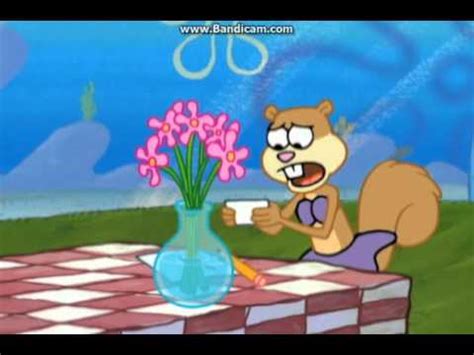 Flowers for Sandy - Spongebob Squarepants video - Fanpop