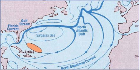 Atlantic Ocean Currents