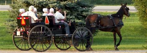 21 Amish Rumspringa Facts and Stories: What Really Happens