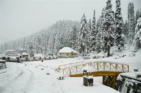 Tourists enjoying #snowfall in #kashmir valley. Tourism is in full swing to enjo