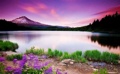 Wallpapers For Gt Beautiful Scenery Mobile Beautiful Nature Scenery ...