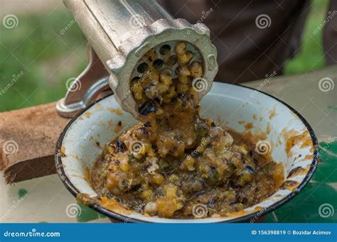 Machine for Grinding Fruit. Grinding of Plums Stock Image - Image of ...