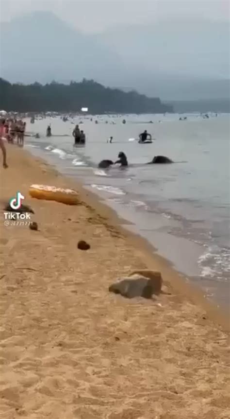 Russia. Buryatia. Lake Baikal. Public beach. : r/ANormalDayInRussia