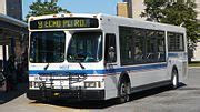 Category:Brantford Transit buses - Wikimedia Commons