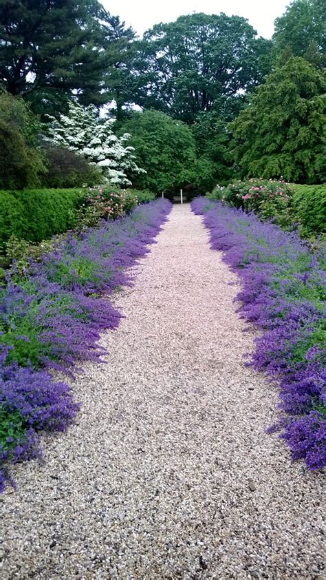 A Visit to Planting Fields Arboretum - FineGardening