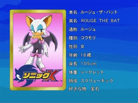 Rouge the Bat • Sonic X • Absolute Anime