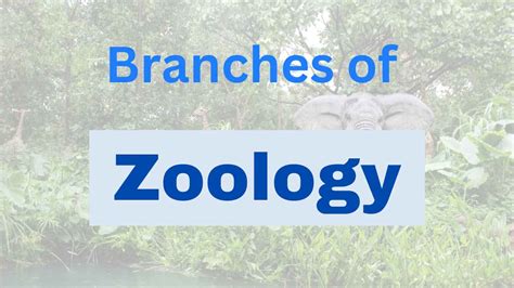 Branches of Zoology With Examples