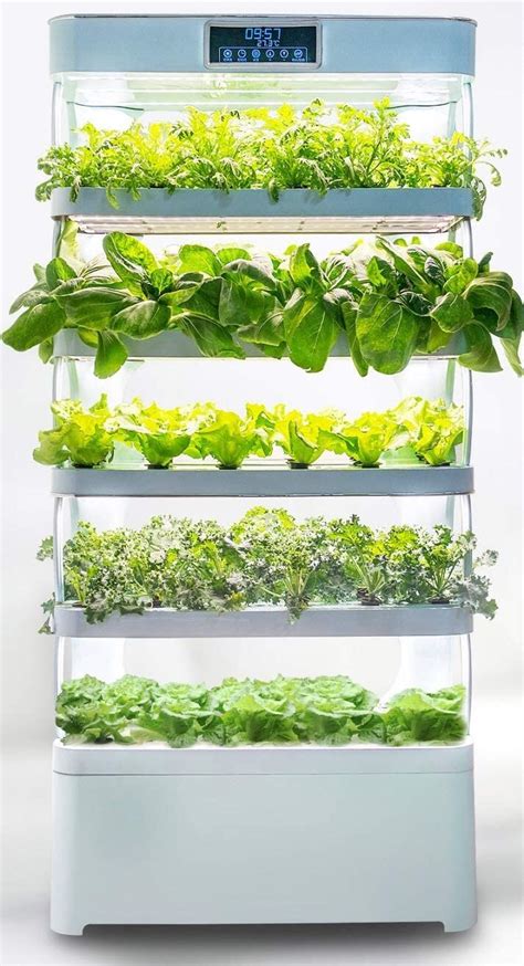 Family-Sized Indoor Gardens | Vertical garden indoor, Indoor vegetable ...