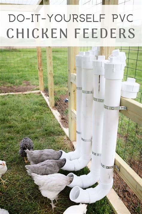 PVC Pipe Chicken Feeder Plans | ubicaciondepersonas.cdmx.gob.mx