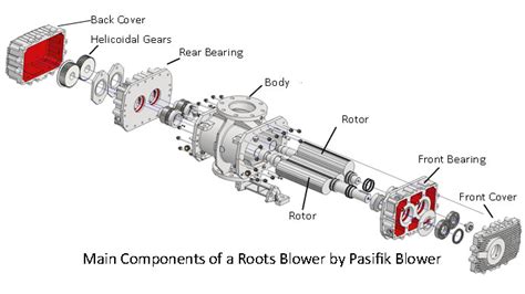 Components of Roots Blowers - Pasifik Blower