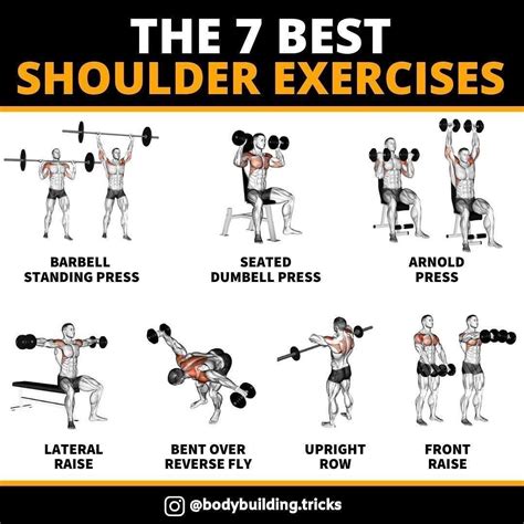 shoulder workouts for pitchers - CodiKalven