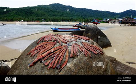 Dawei Beaches in Myanmar Stock Photo - Alamy