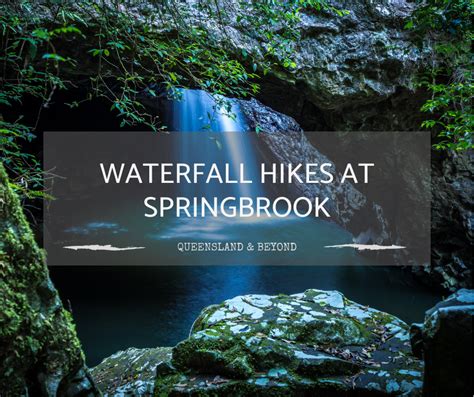 Hiking Springbrook National Park: A Waterfall Guide | National parks, Hiking, Waterfall hikes