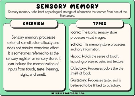 10 Sensory Memory Examples (2024)