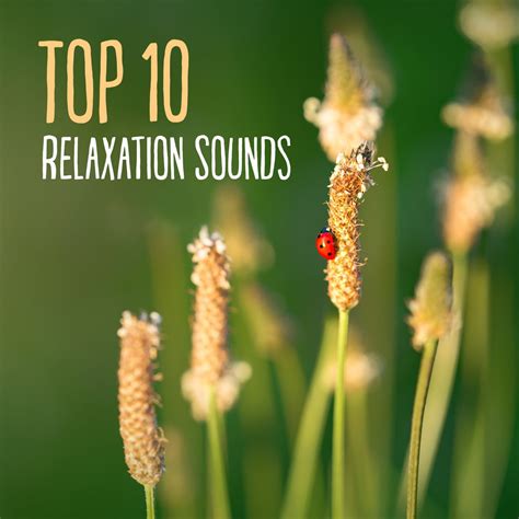 ‎Top 10 Relaxation Sounds: Zen Music for Mind, Body Soul Harmony ...