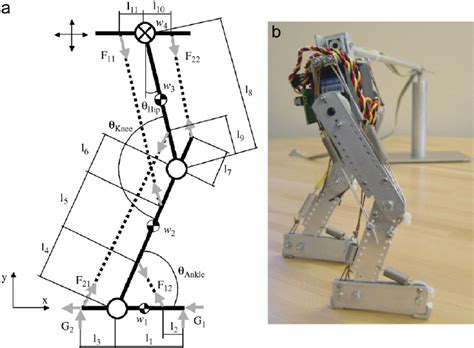 (a) Bipedal locomotion model with compliant legs (only one of the two ...