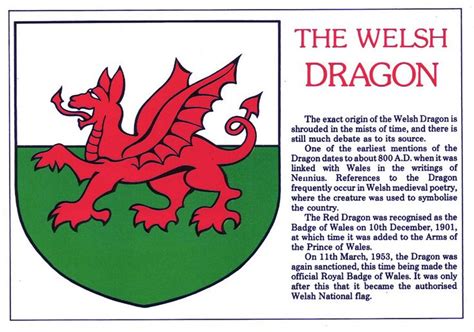 The Welsh Dragon | Welsh dragon, Wales flag, Welsh