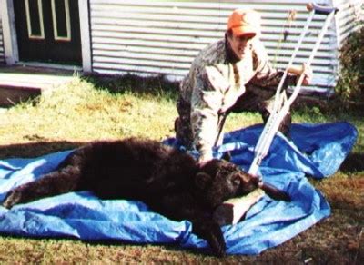 Black Bear Hunting 17