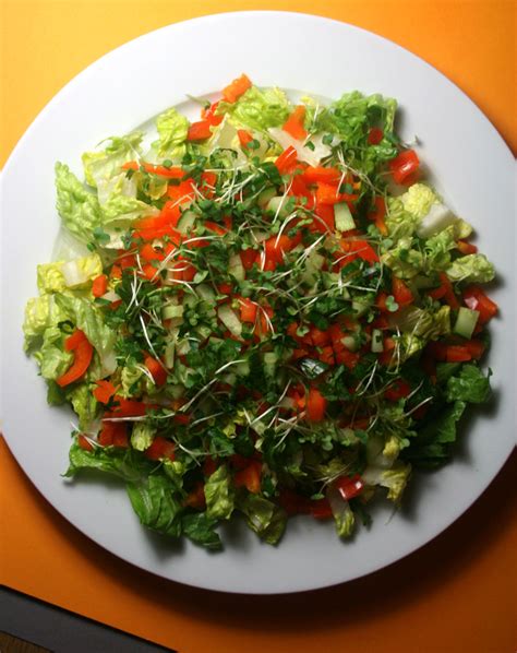 Essex Girl Cooks Healthy | Low Cholesterol | Diced Orange Pepper Salad