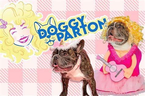 Dolly Parton Released A New Pet Apparel Line Called 'Doggy Parton' and It's Paw-tastic Kids ...