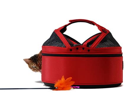 Sleepypod Ⓡ | Pet carriers, Pet bed, Pets