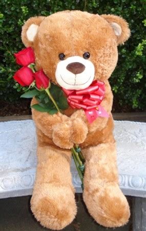 TEDDY BEAR WITH ROSES Teddy Bear holding Fresh Roses in Fairfield, CA - ADNARA FLOWERS & MORE