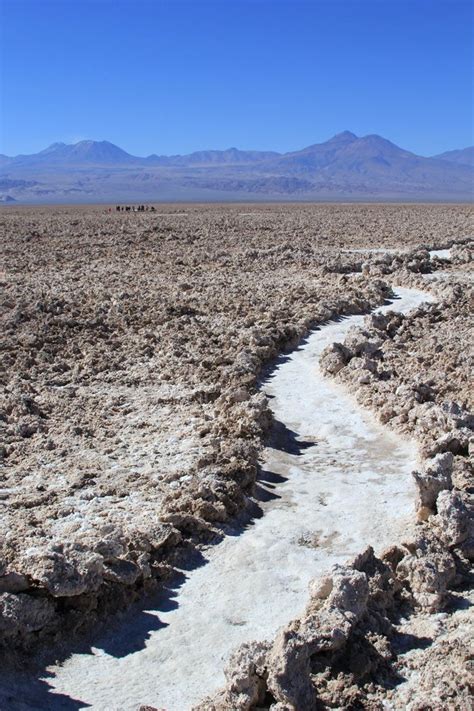 Lagoon Chaxa #Atacama #Chile | Natural landmarks, Country roads, Lagoon