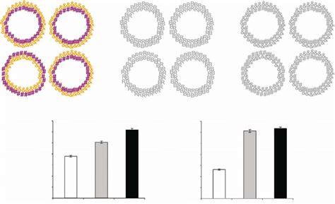 (a) Sample stimulus displays shown as the real-color (left),... | Download Scientific Diagram