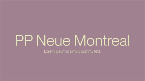 PP Neue Montreal Font Family : Download Free for Desktop & Webfont