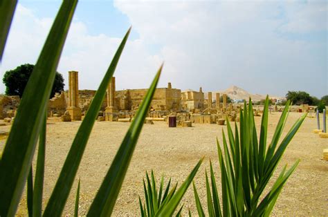 Anera in Jericho, Palestine