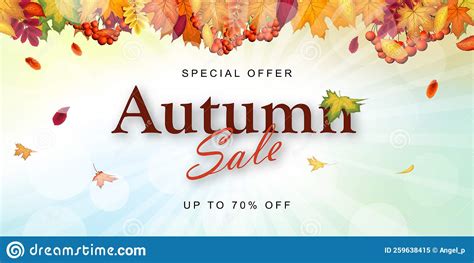 Autumn Sale Banner stock vector. Illustration of frame - 259638415