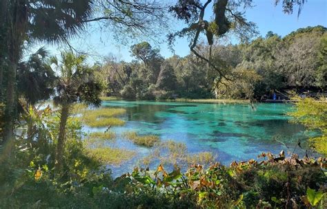 Rainbow Springs State Park - Go Wandering