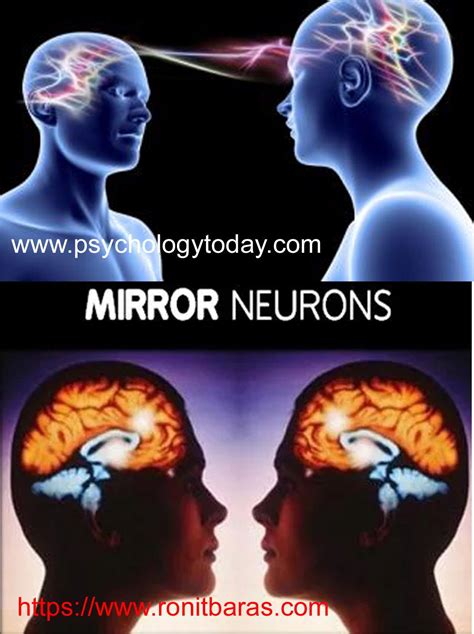 THE MIRROR NEURONS AND THE HUMAN SOCIAL INTERACTIONS in 2020 | Neurons, Mirror neuron, Premotor ...