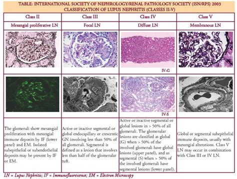 Classification of Lupus Nephritis: An Update | Hola buenos dias frases, Buenos dias, Frases