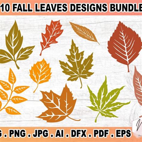 Autumn Leaves Svg Bundle Fall Leaves Svg Leaf Svg Png | Etsy