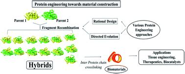 Evolutionary approaches in protein engineering towards biomaterial ...