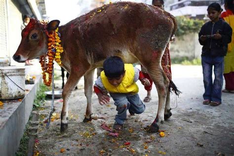 Nepali Festival Tihar: the festival of lights & colors - gnbnow