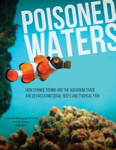 Finding Solutions to Cyanide Fishing | by Miyoko Sakashita | Center for Biological Diversity ...