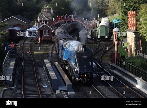 North Yorkshire Moors Railway, 50th Anniversary Steam Gala, 2023 - 60007, Sir Nigel Gresley ...