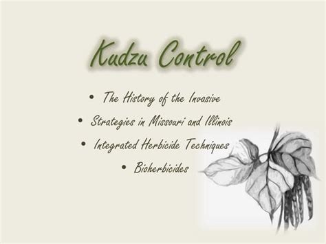 Kudzu Control | PPT