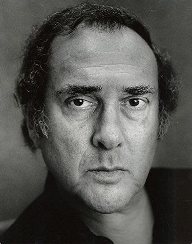 Analysis of Harold Pinter’s Plays – Literary Theory and Criticism