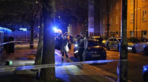 Peckham stabbing: Two men and dog knifed after 'balaclava gang storm funeral wake' - Mirror Online