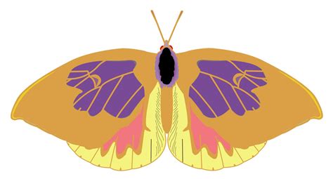Cartoon Butterfly Free Stock Photo - Public Domain Pictures