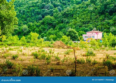 Tesvikiye Village Countryside Environment - Turkey Editorial Photography - Image of horizon ...