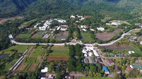 VSU saves our trees; DPWH completes road widening project in Baybay ...