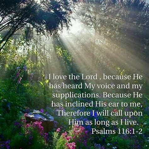 Psalm 116:1-2 | I love the lord, Psalms, Bible qoutes