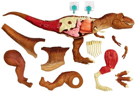 Buy jurassic world toys Mattel Stem Tyrannosaurus Rex Anatomy Kit Online at desertcartINDIA