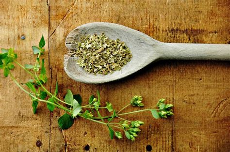 Fresh Oregano Vs. Dried: How Do They Compare?