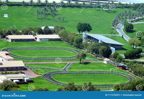 Horse Race Tracks for Training. Stock Image - Image of grass, gambling ...