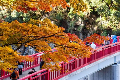 taigetsukyo_bridge_autumn_colors | Kyuhoshi